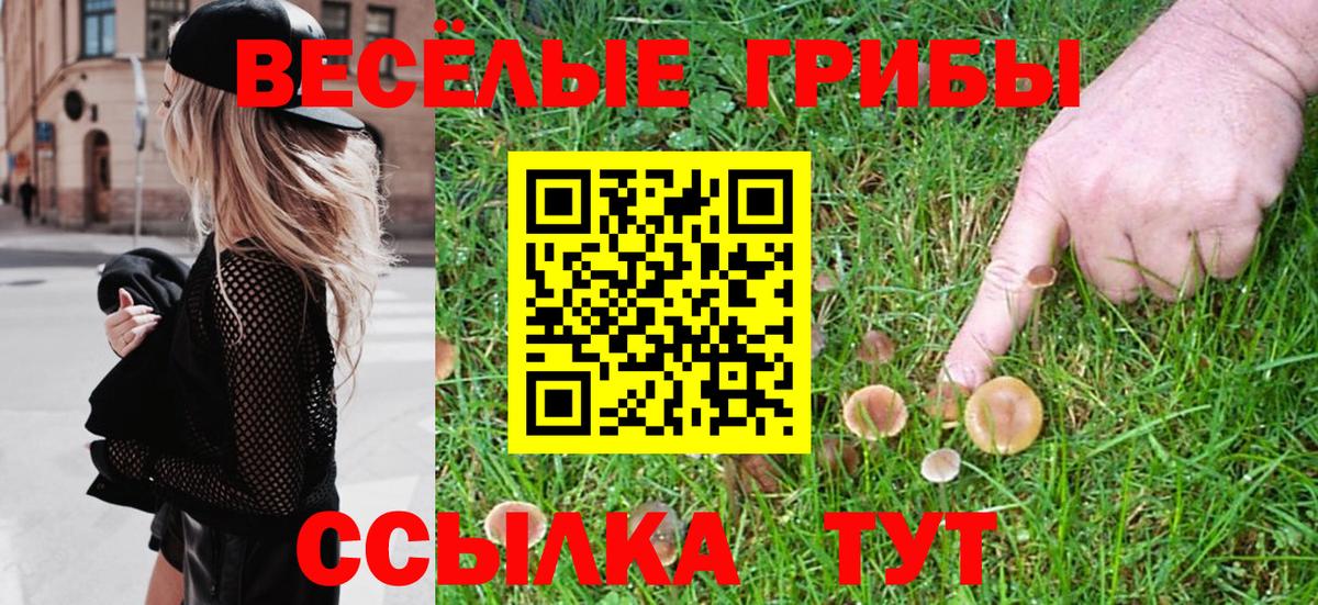 Галлюциногенные грибы GOLDEN TEACHER Губаха